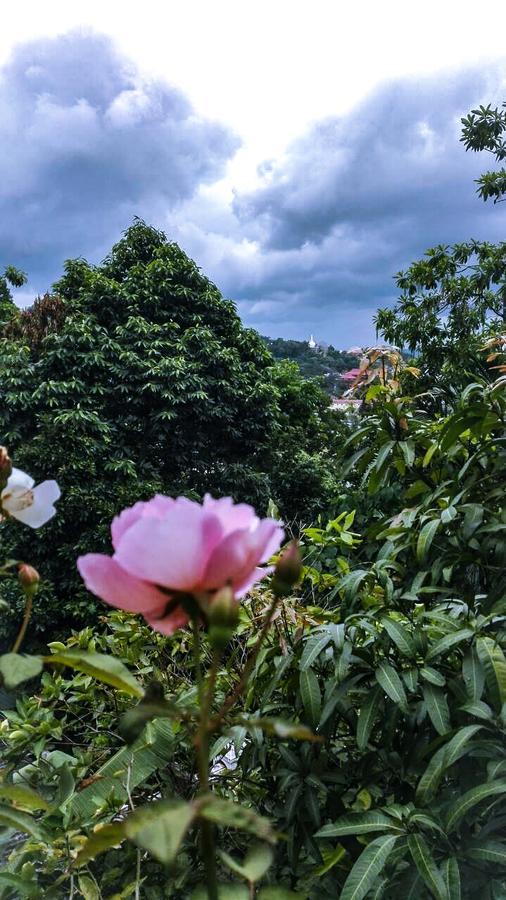 J Hostel Kandy Zewnętrze zdjęcie